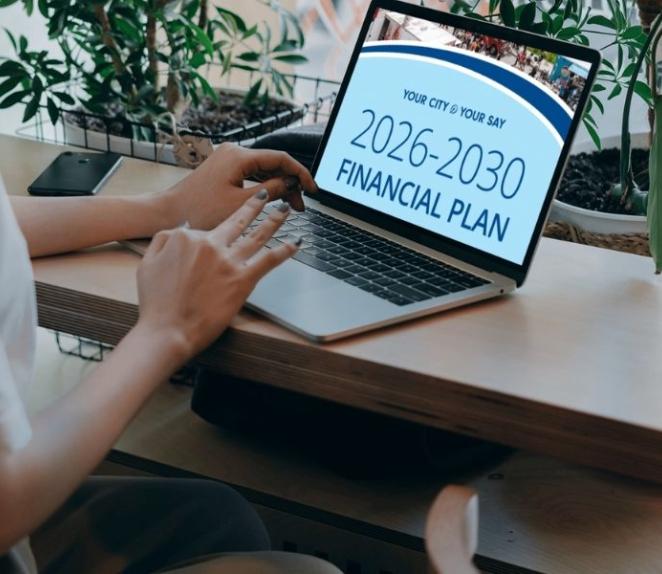 person reading Financial Plan on a laptop