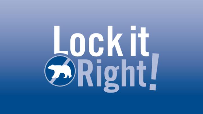 Lock it Right! logo.
