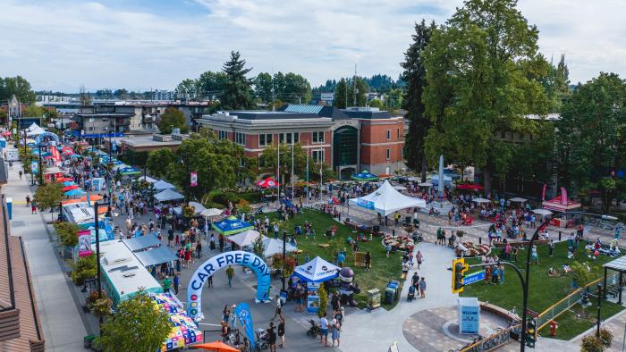 Aerial photo of McAllister Avenue on Car Free Day