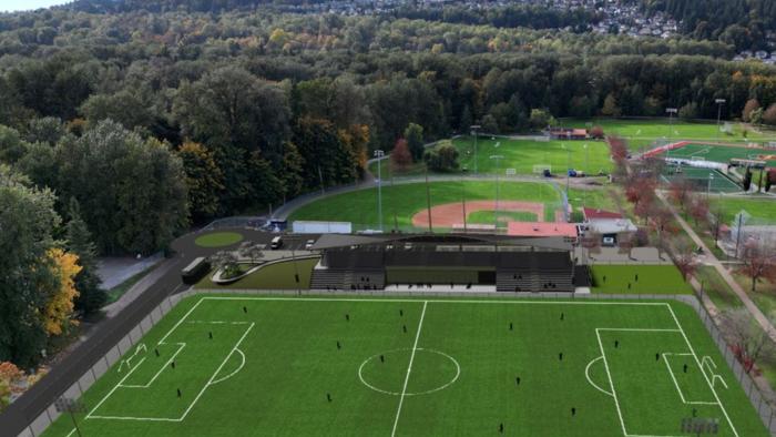 Aerial view of green soccer pitch.