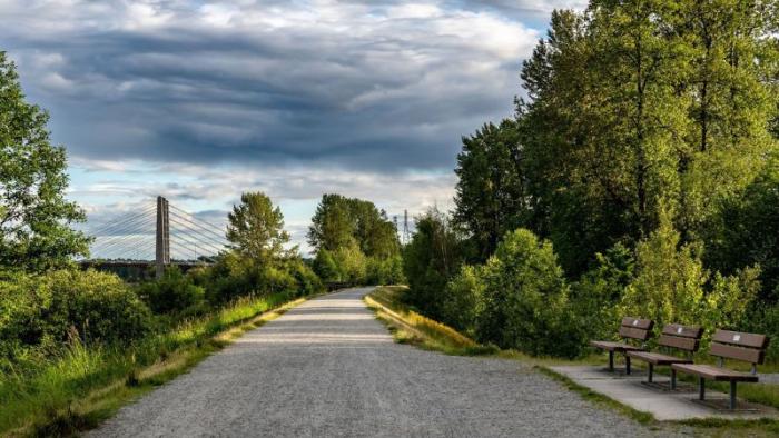 Rural road flanked by trees.