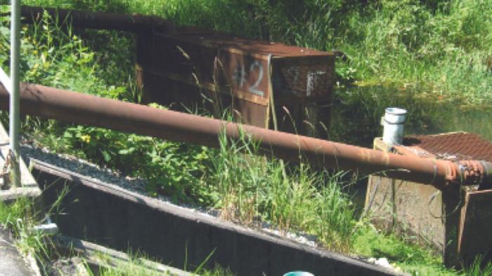 Random abandoned items left near shrubs and bushes.