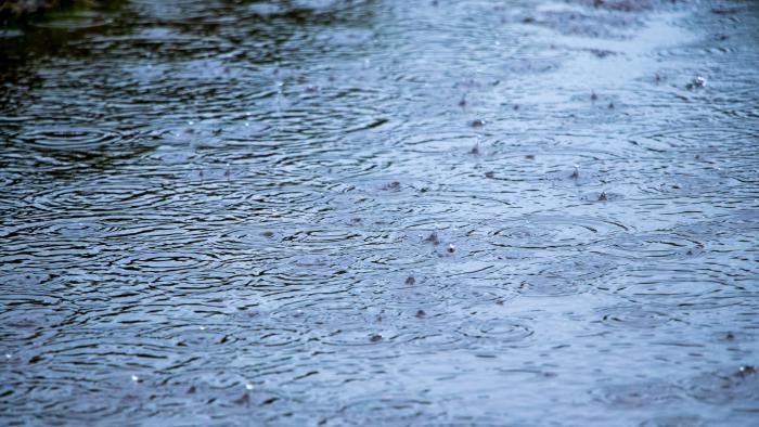 Raindrops in a puddle