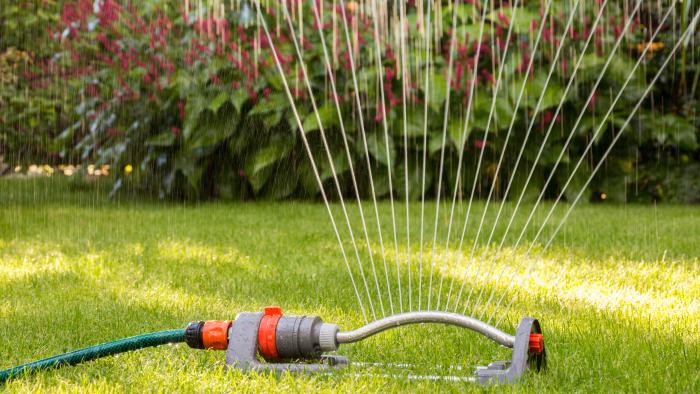 Sprinkler on lawn