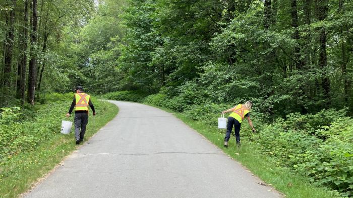 Two City staff members picking up litter on a trail