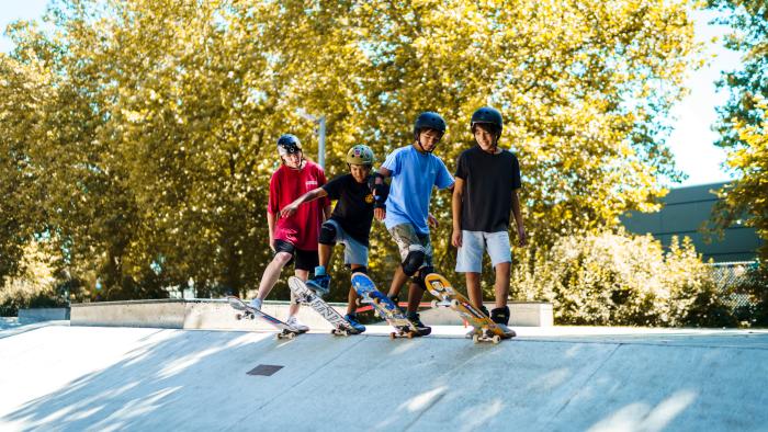 Skate