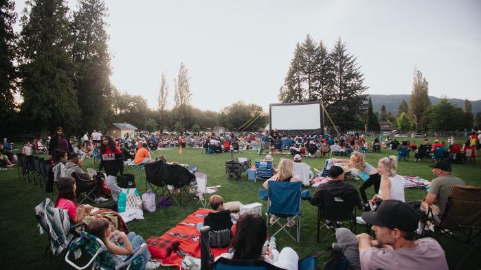 people gathered at park to watch outdoor movie