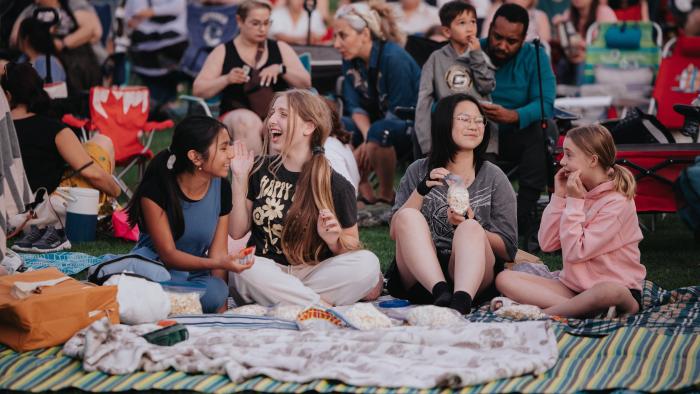 people gathered at park to watch outdoor movie
