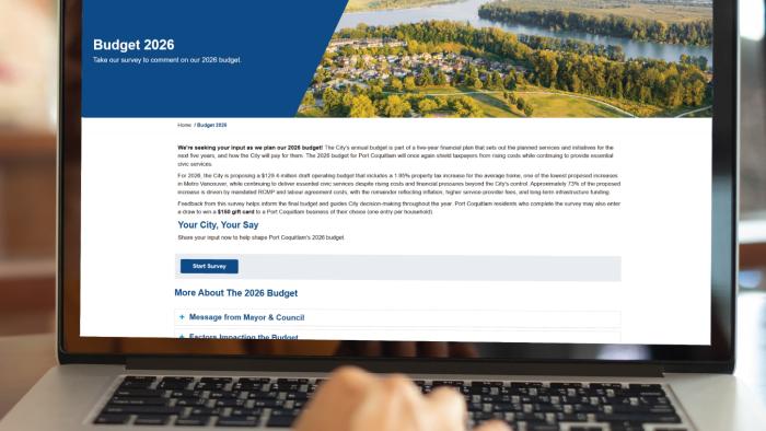 computer screen with budget survey displayed