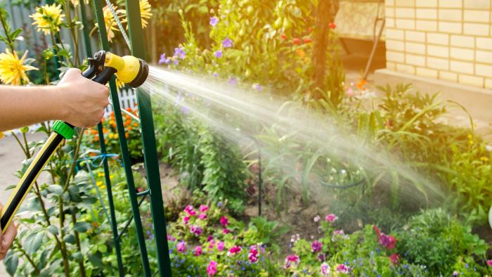 garden watering