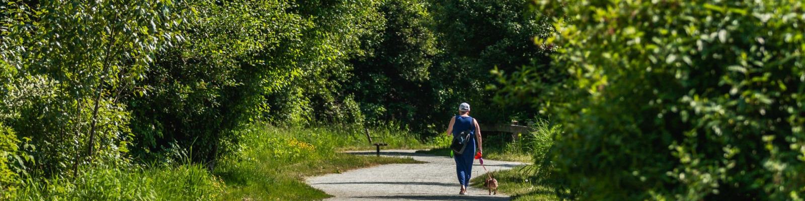 Person walking dog through Blakeburn Lagoons Park