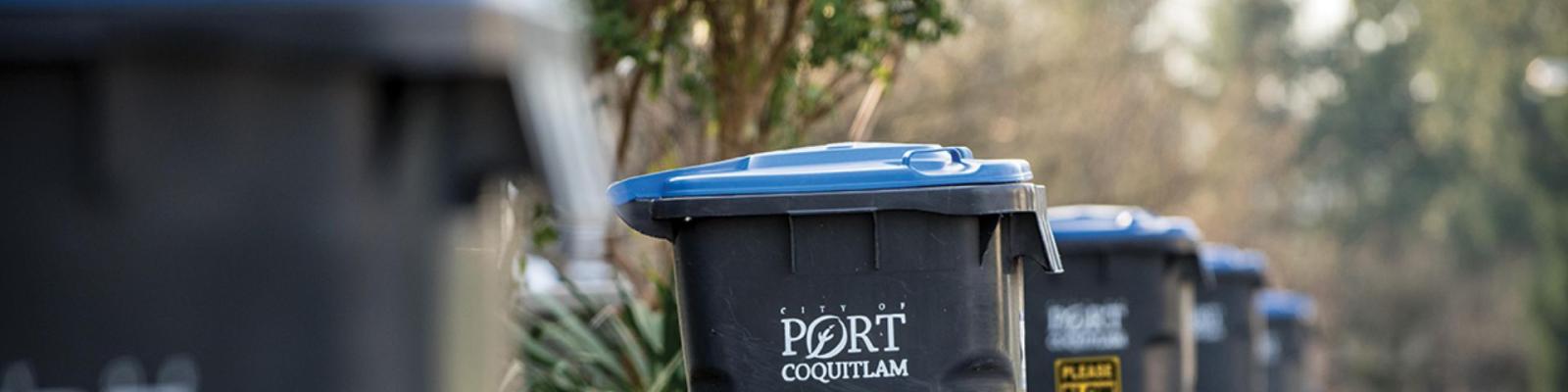 Blue carts for recycling lined up for collection day