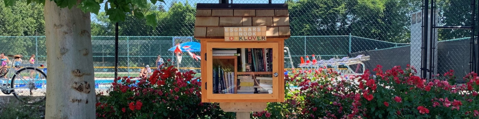 Little library surrounded by flowers near a community pool 