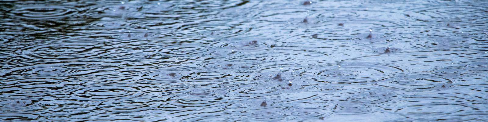 Raindrops in a puddle
