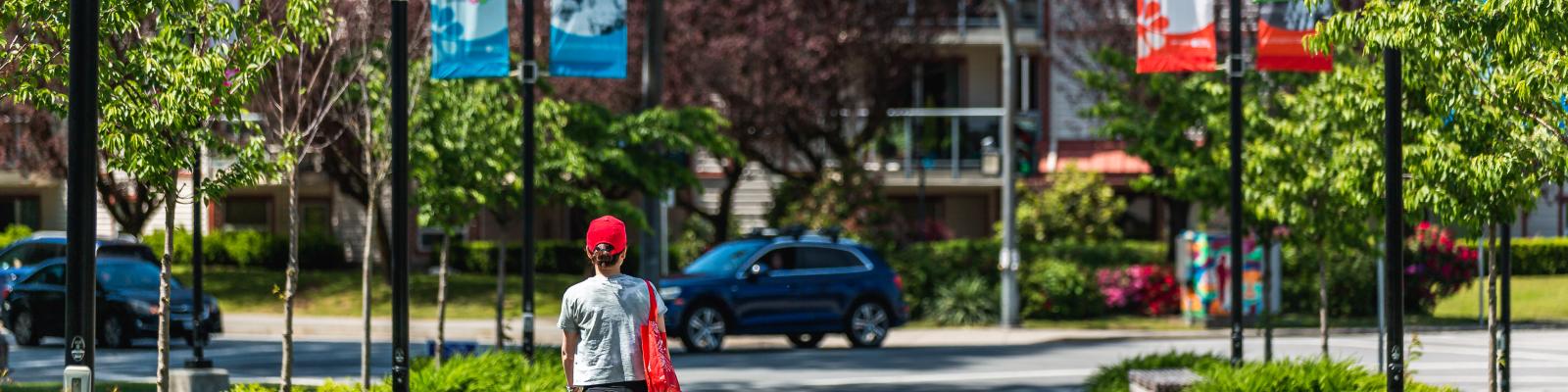 person walking down path