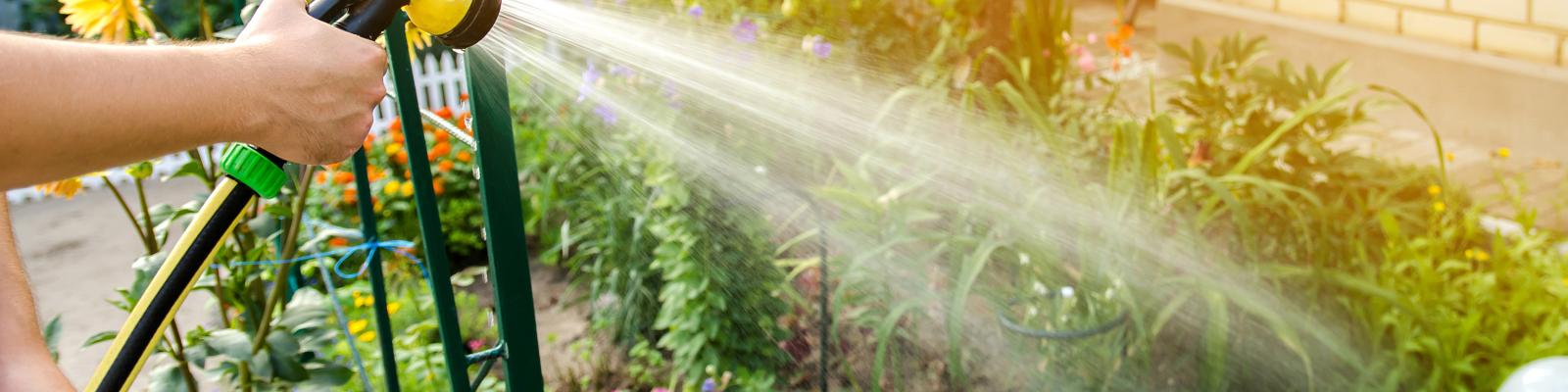 garden watering