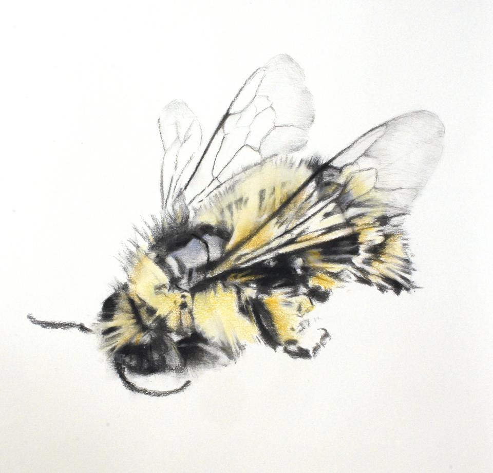 Bee art