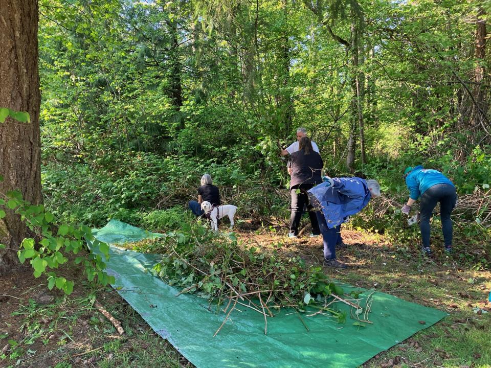 community volunteering tree work