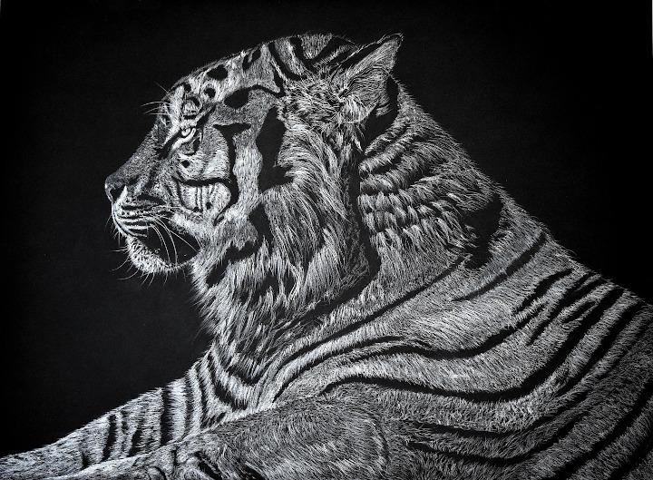 Tiger by John Larsen