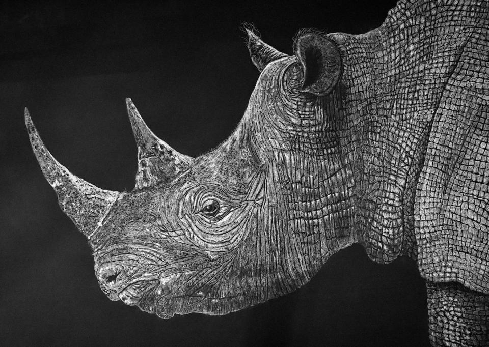 Rhino by John Larsen