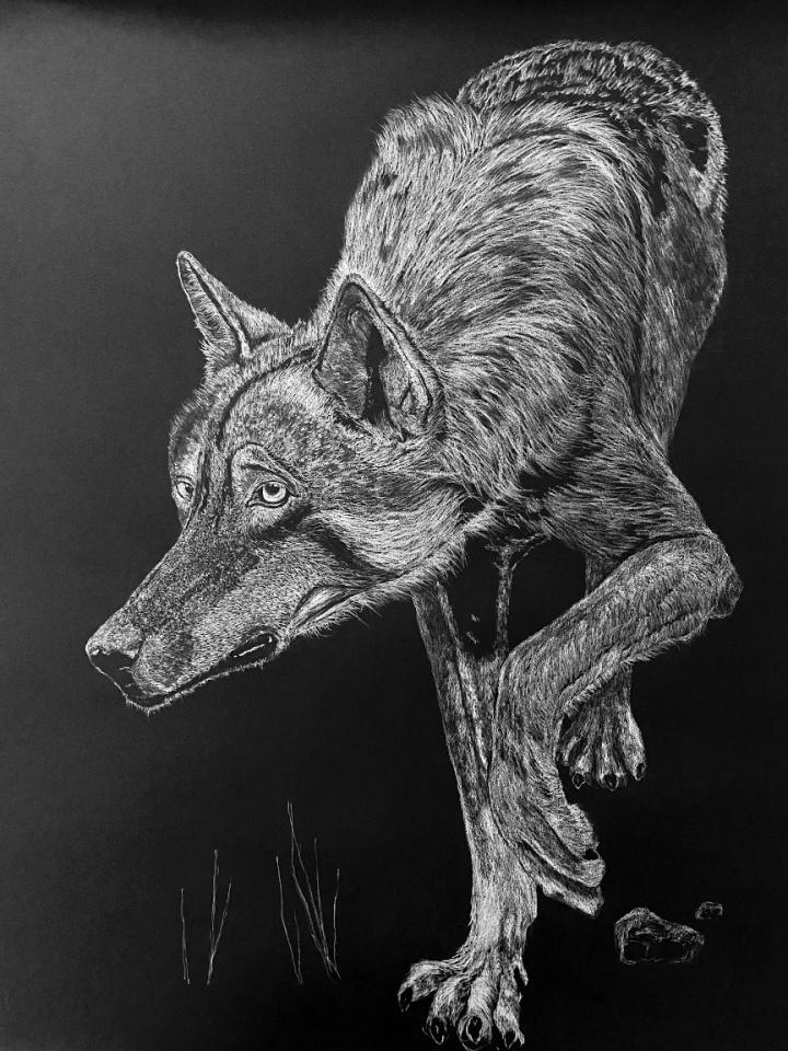 Hunting Wolf by John Larsen