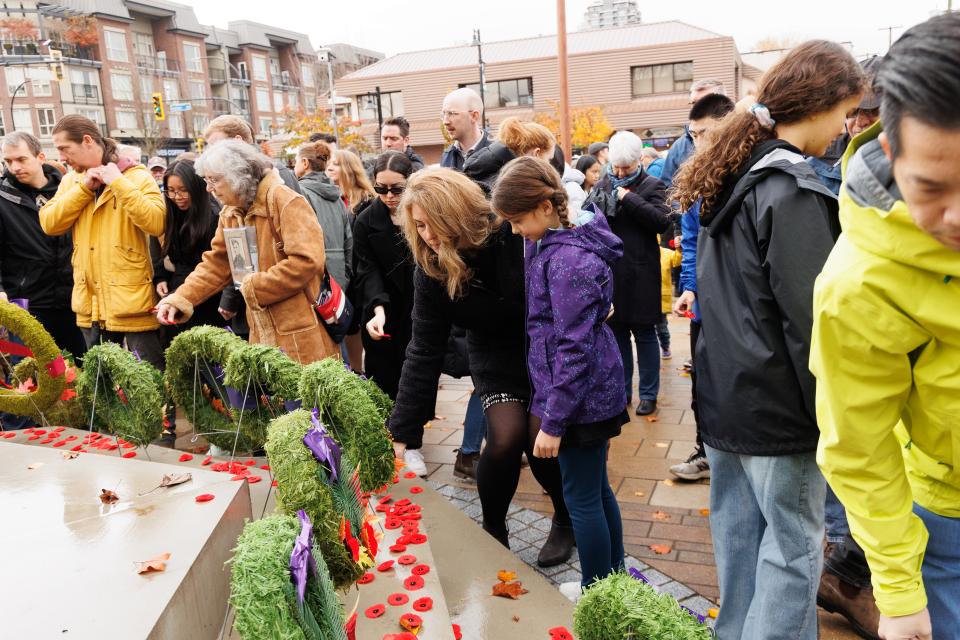 Remembrance Day Poppies