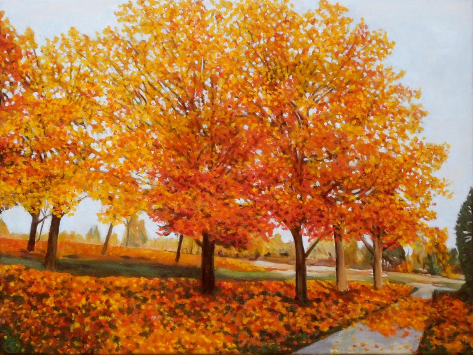 Settlers Park in Autumn