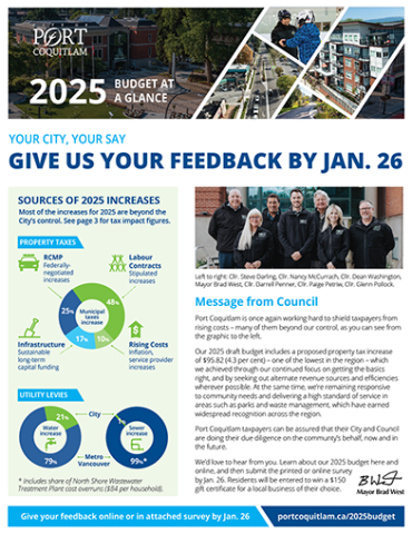 Cover photo of Budget at a Glance