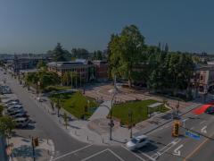Veterans Park and City Hall in the summertime