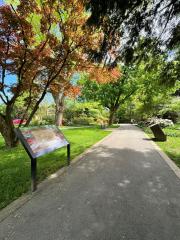 Donald Storywalk pathway with a panel and trees and flowers