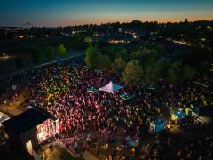 Canada Day at Castle Park from above, crowd watching performance after dark