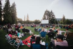 people gathered at park to watch outdoor movie