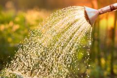 watering can watering in sun