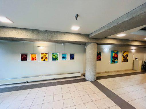 Row of artwork on display. They are hanging from an art gallery's wall.