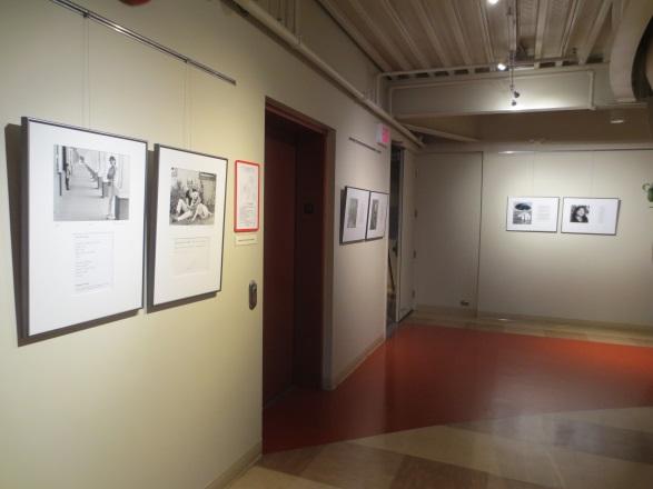 Artwork on display hanging from art gallery walls.