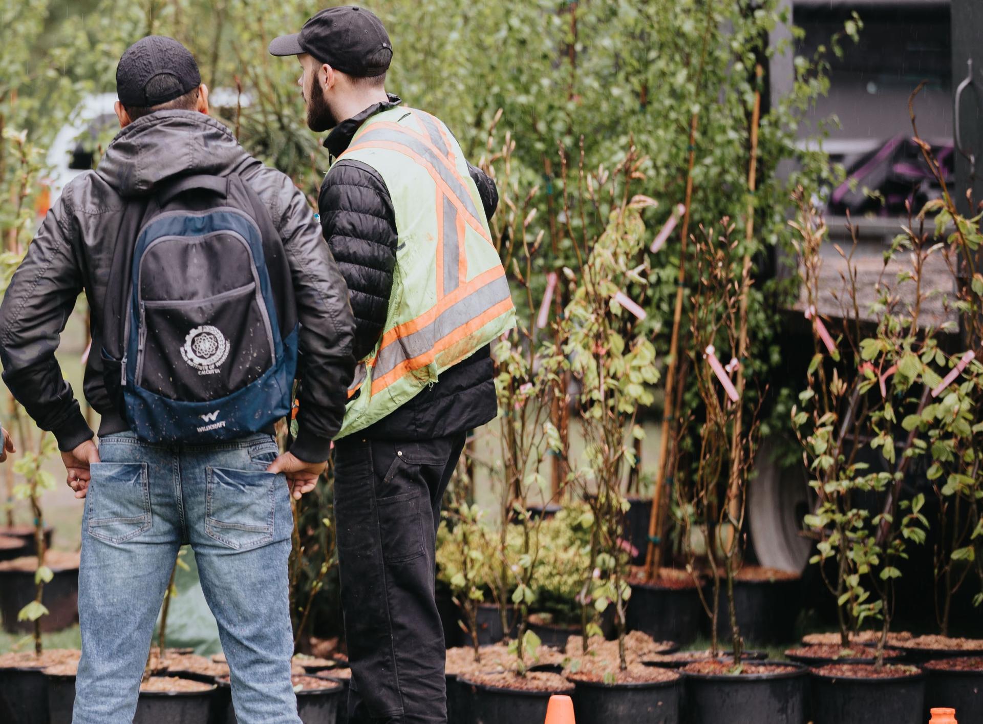 Resident and City staff member in high-vis vest looking trees