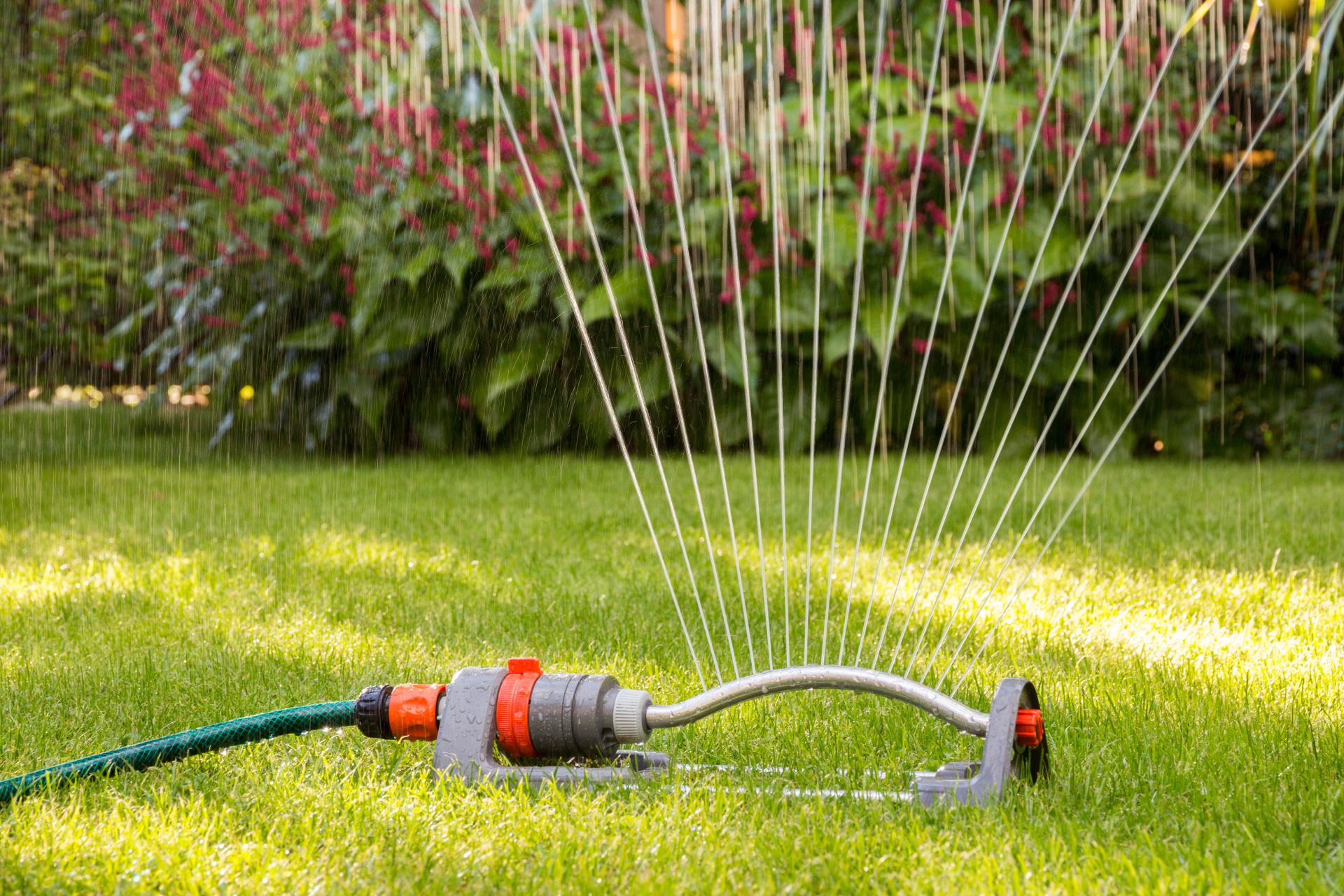 Sprinkler on lawn