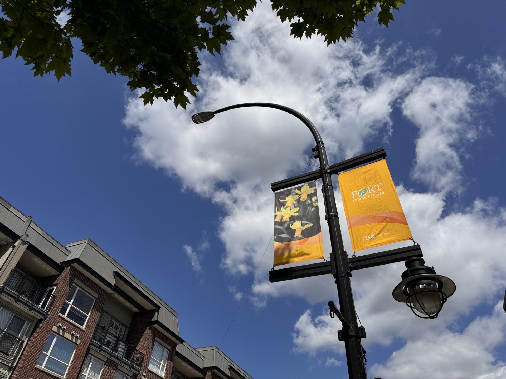 Street banner
