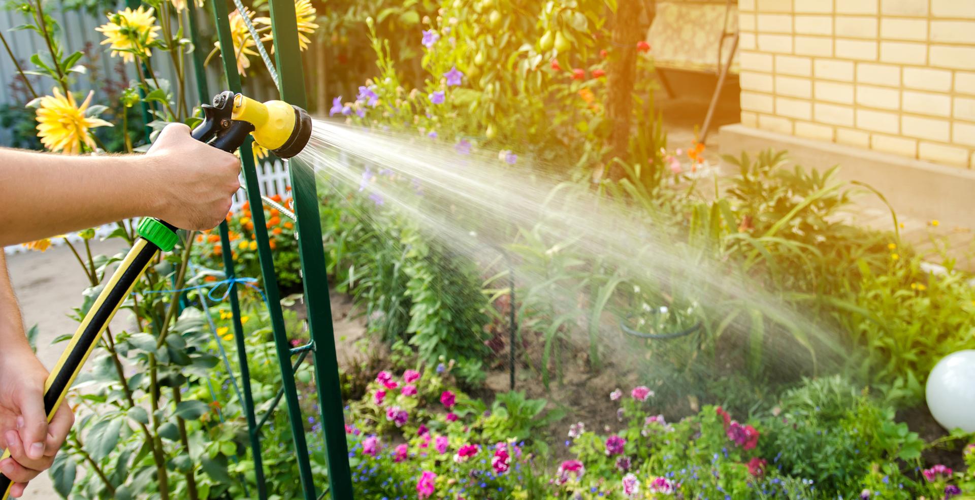 garden watering
