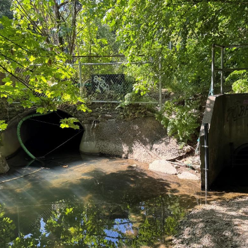 Existing culvert at Coast Meridian Road, looking toward the creek.